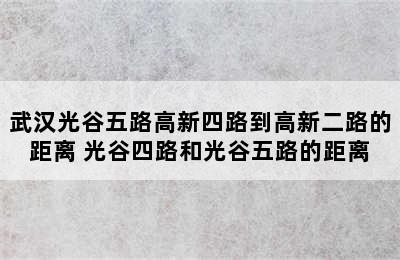 武汉光谷五路高新四路到高新二路的距离 光谷四路和光谷五路的距离